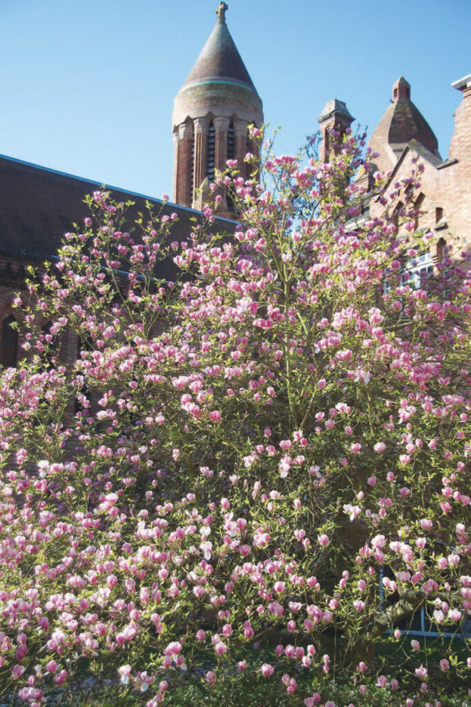 Quarr Abbey Newsletter Easter 2026