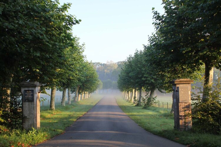 Approaching Quarr Abbey in the Spring mist